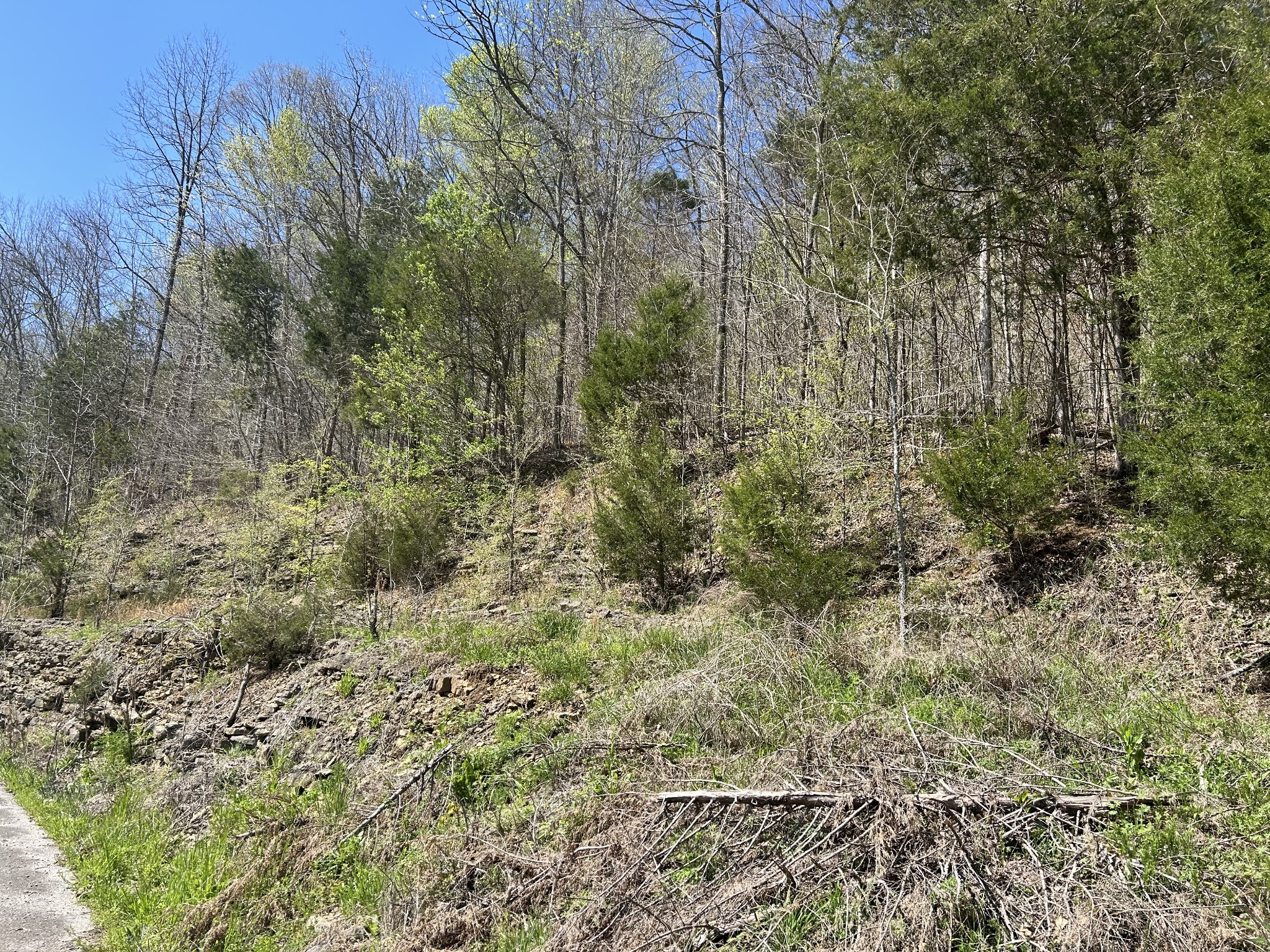 1155 Hurricane Creek Rd Property Photo 6