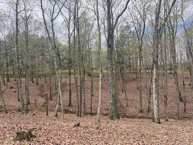 0 Willie Mauldin Rd Property Photo