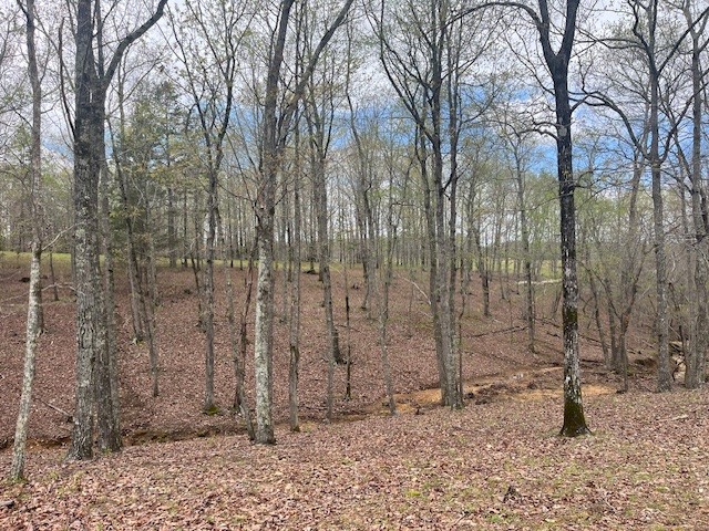 0 Willie Mauldin Rd Property Photo 2