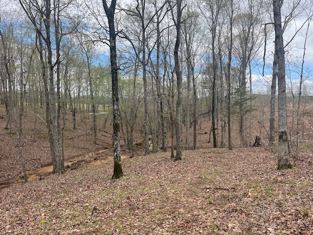 0 Willie Mauldin Rd Property Photo 3