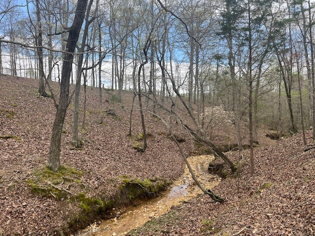 0 Willie Mauldin Rd Property Photo 4