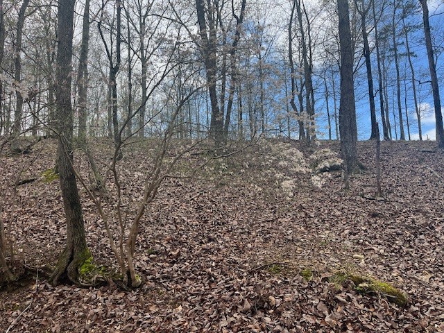 0 Willie Mauldin Rd Property Photo 6