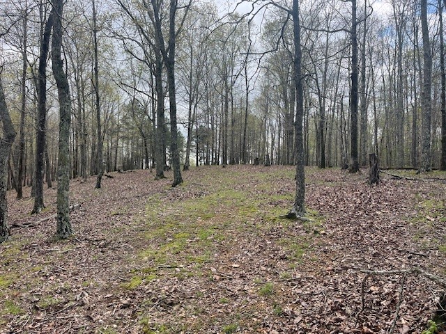 0 Willie Mauldin Rd Property Photo 7