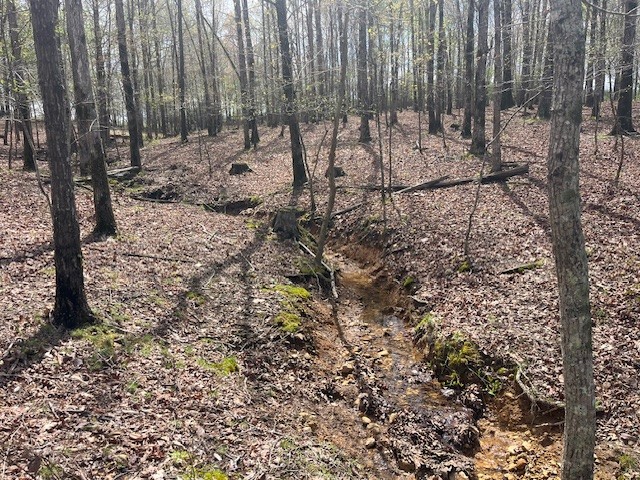0 Willie Mauldin Rd Property Photo 9