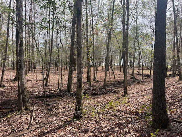 0 Willie Mauldin Rd Property Photo 12