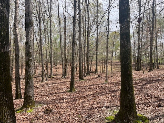 0 Willie Mauldin Rd Property Photo 13