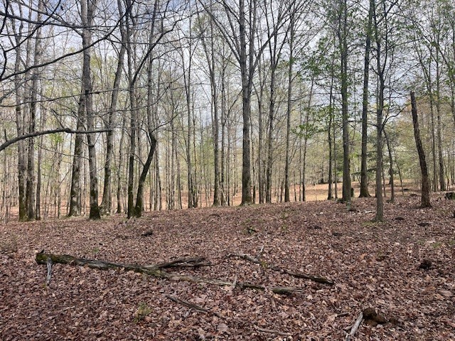 0 Willie Mauldin Rd Property Photo 14