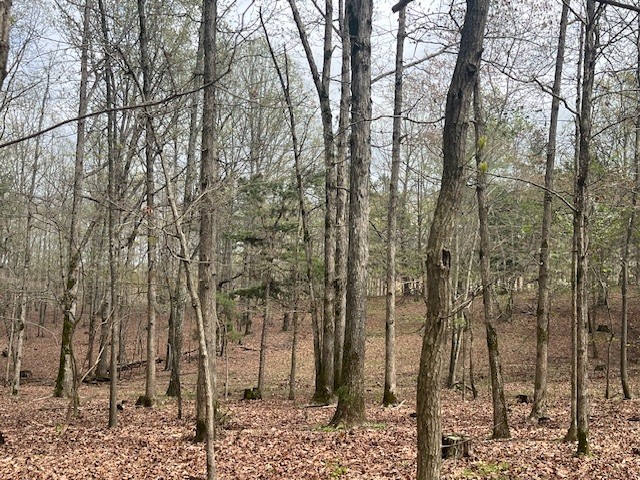 0 Willie Mauldin Rd Property Photo 15