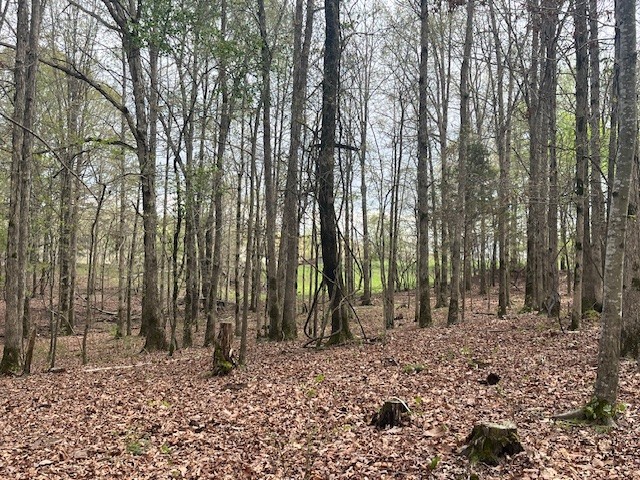 0 Willie Mauldin Rd Property Photo 16