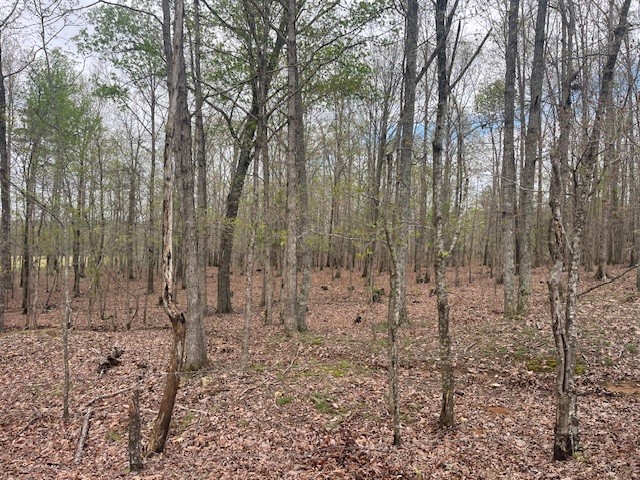 0 Willie Mauldin Rd Property Photo 17