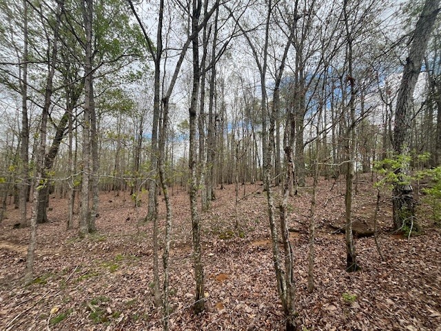 0 Willie Mauldin Rd Property Photo 18