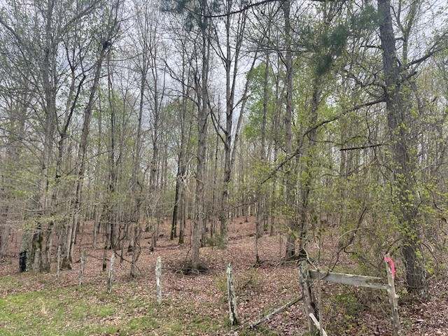 0 Willie Mauldin Rd Property Photo 19