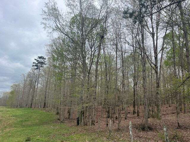 0 Willie Mauldin Rd Property Photo 20