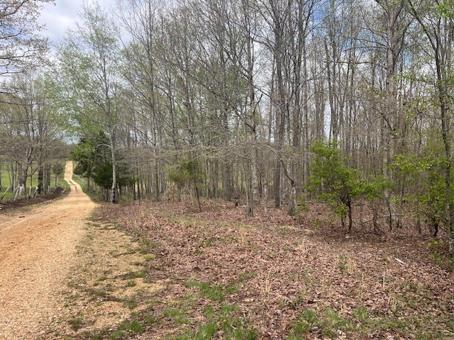 0 Willie Mauldin Rd Property Photo 21