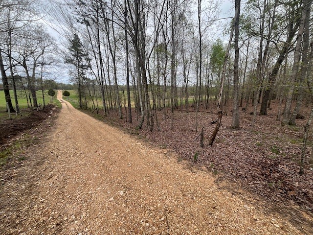 0 Willie Mauldin Rd Property Photo 22