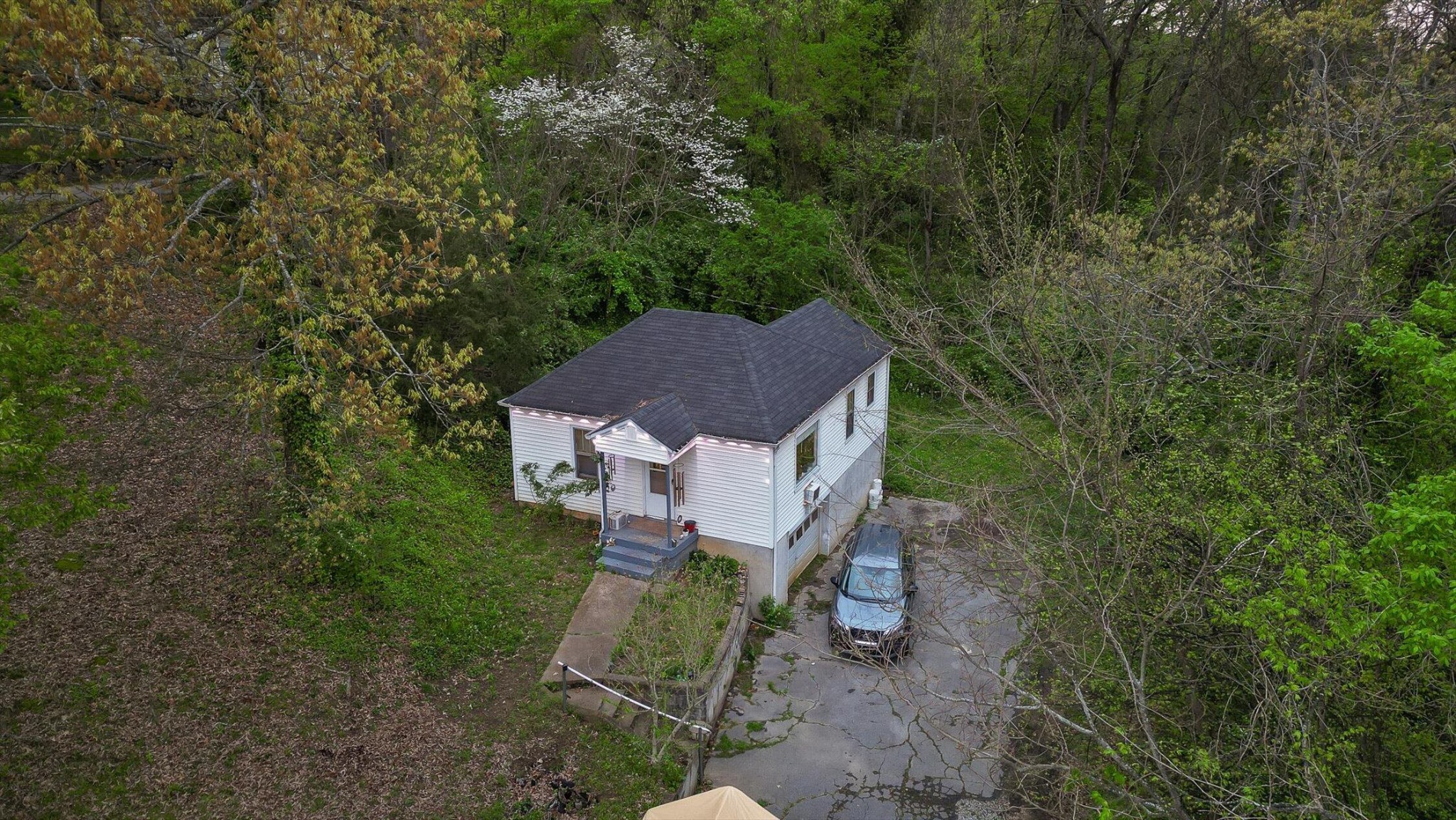 203 Flora Circle Property Photo 13