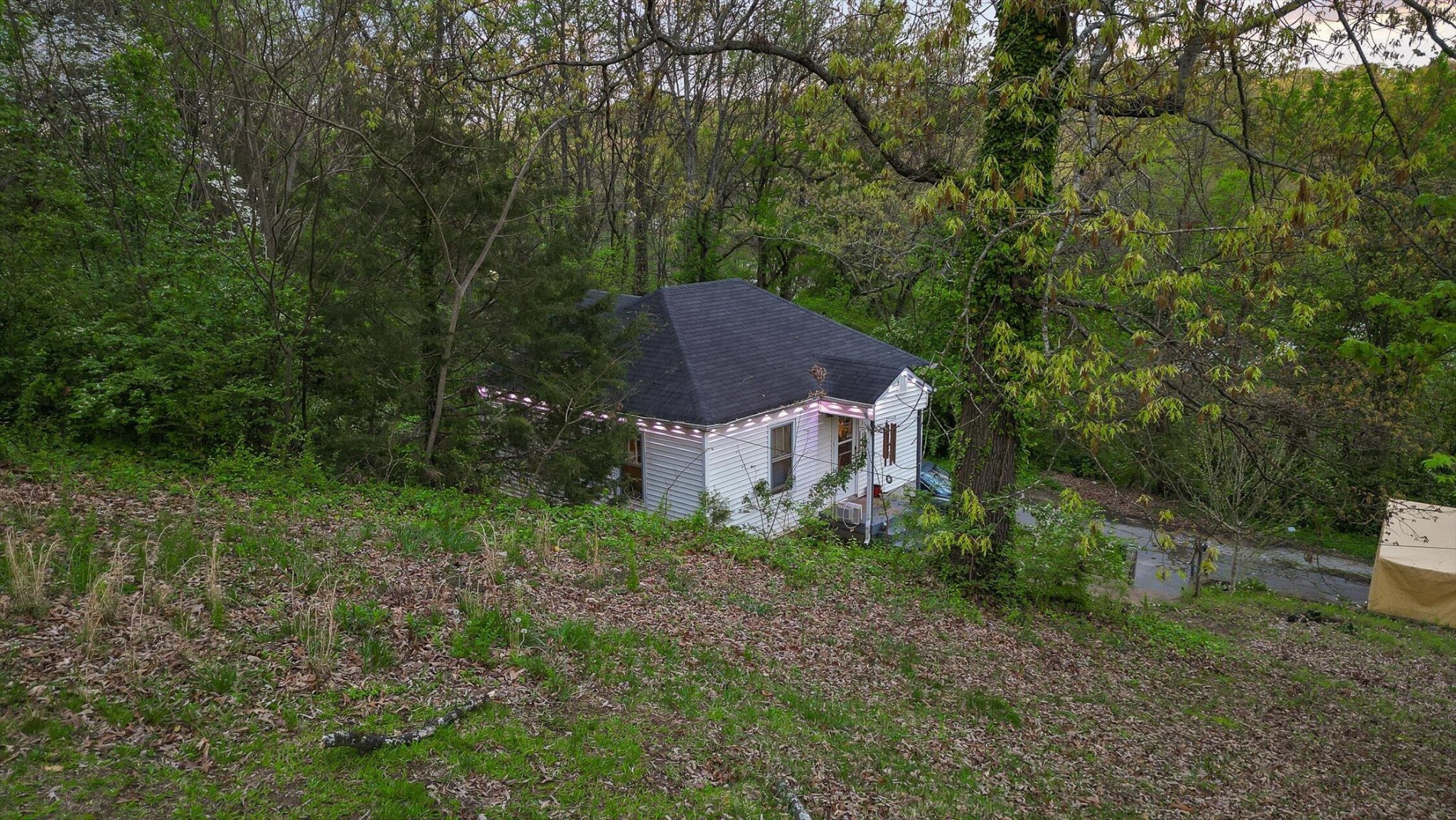 203 Flora Circle Property Photo 15