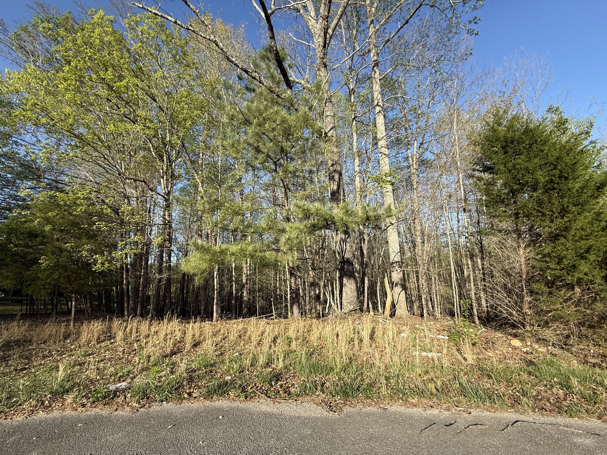 0 Jordan Dr Property Photo