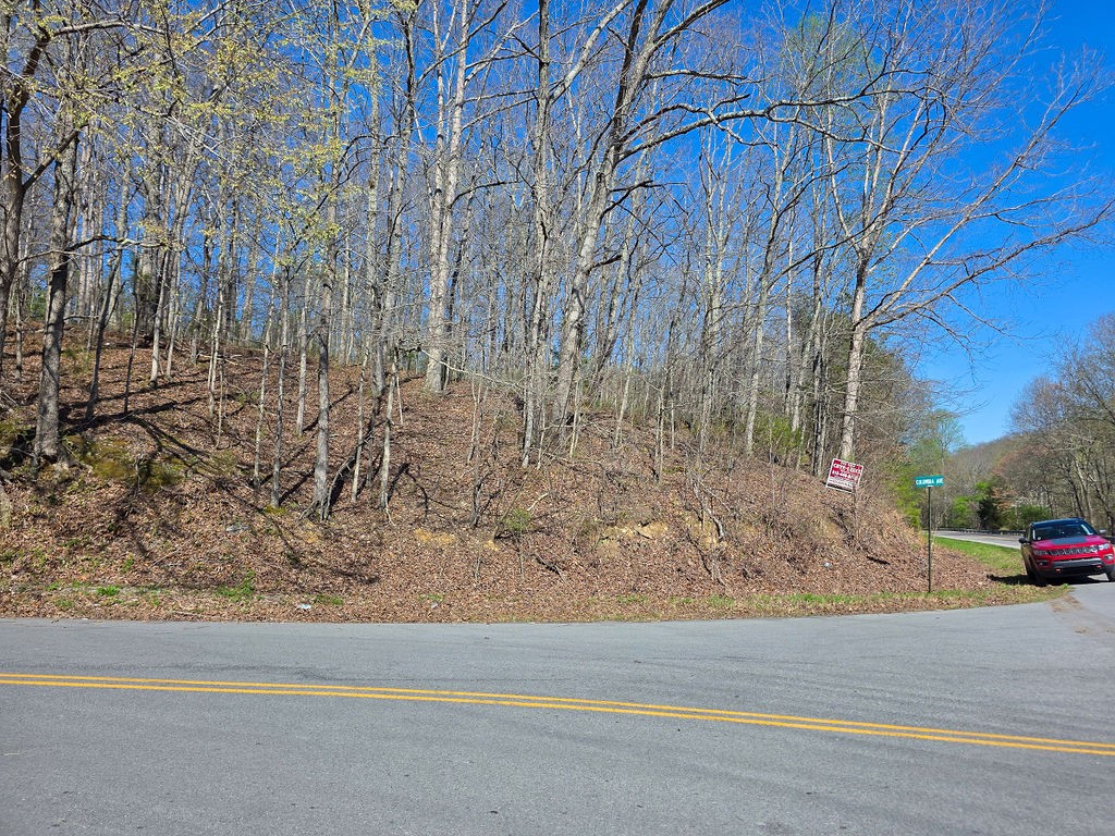 0 Highway 50 E Property Photo 18