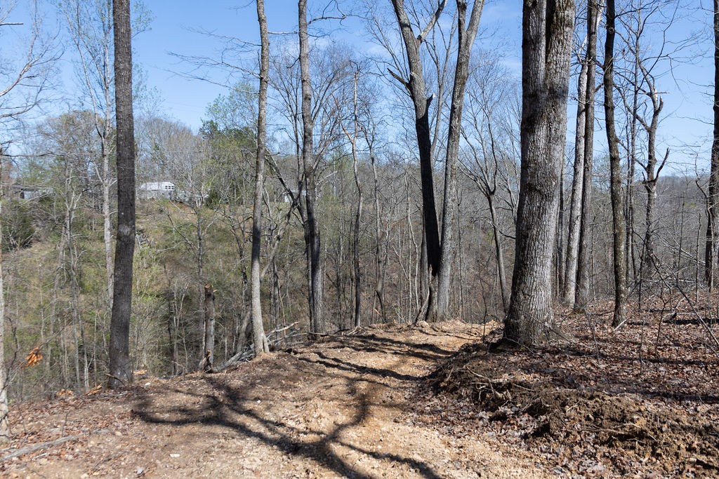 0 Highway 50 E Property Photo 23