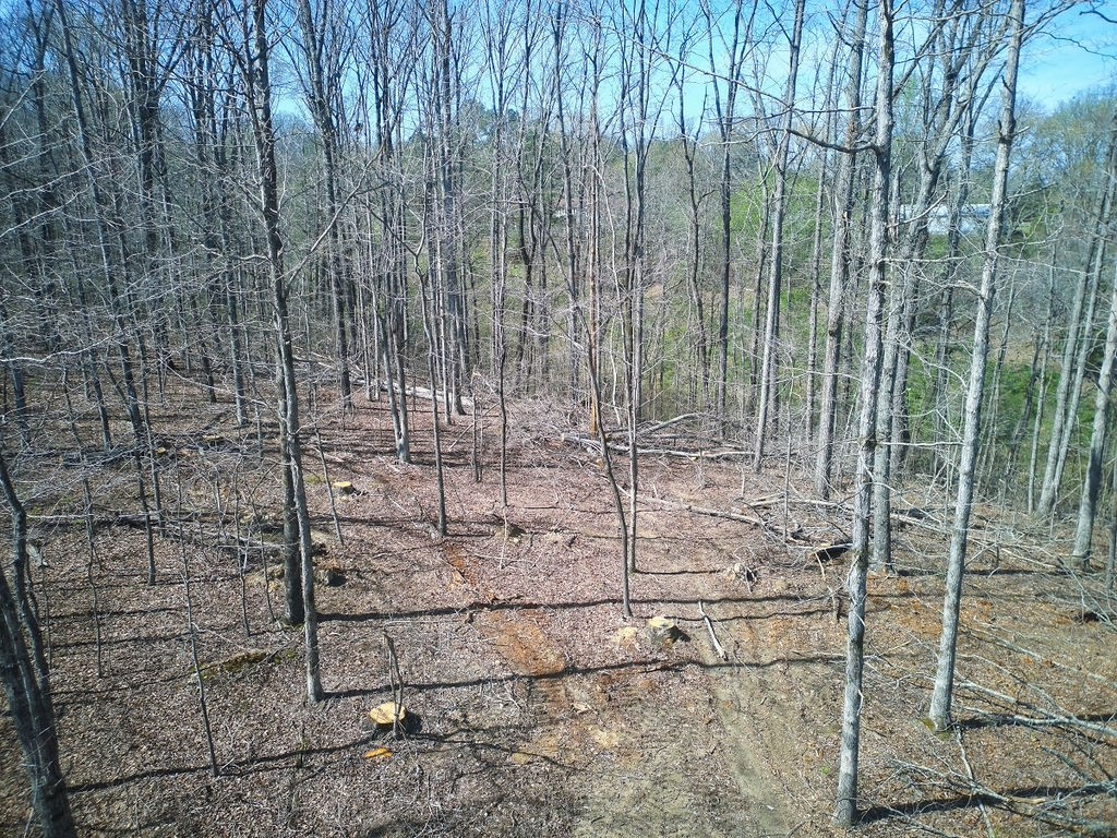 0 Highway 50 E Property Photo 25