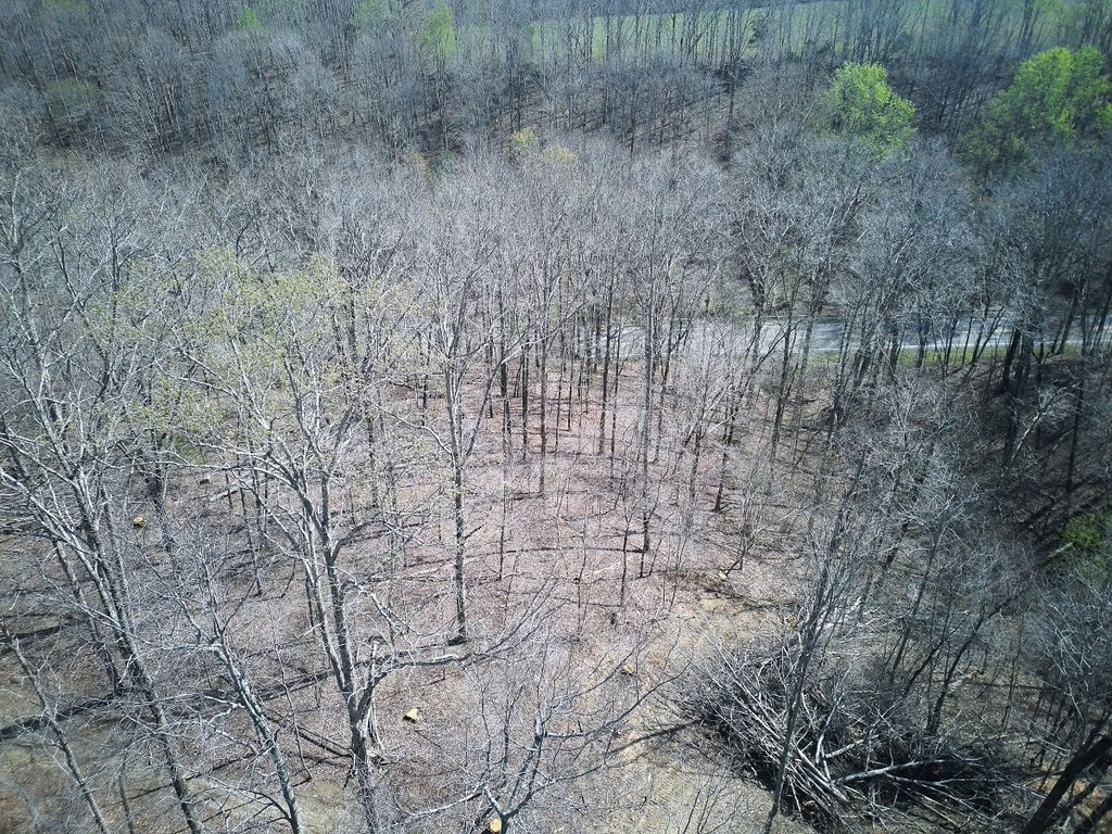 0 Highway 50 E Property Photo 31