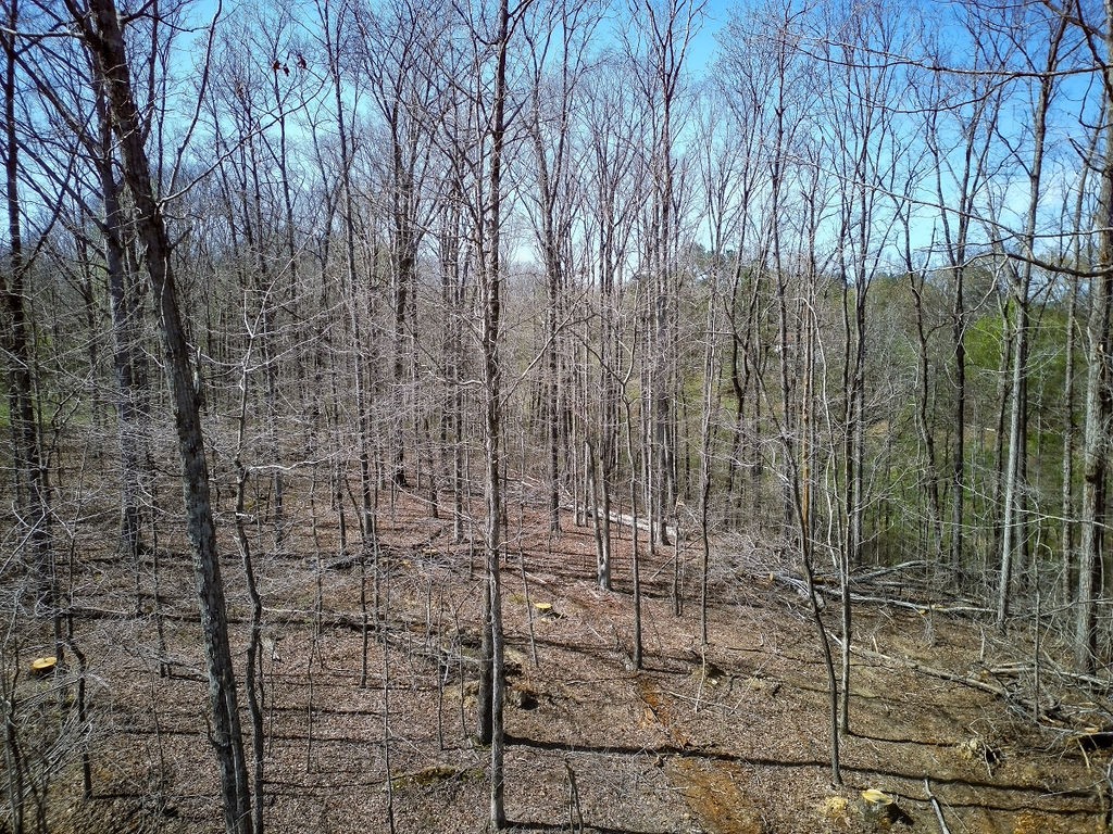 0 Highway 50 E Property Photo 34