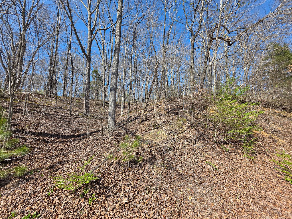 0 Highway 50 E Property Photo 37