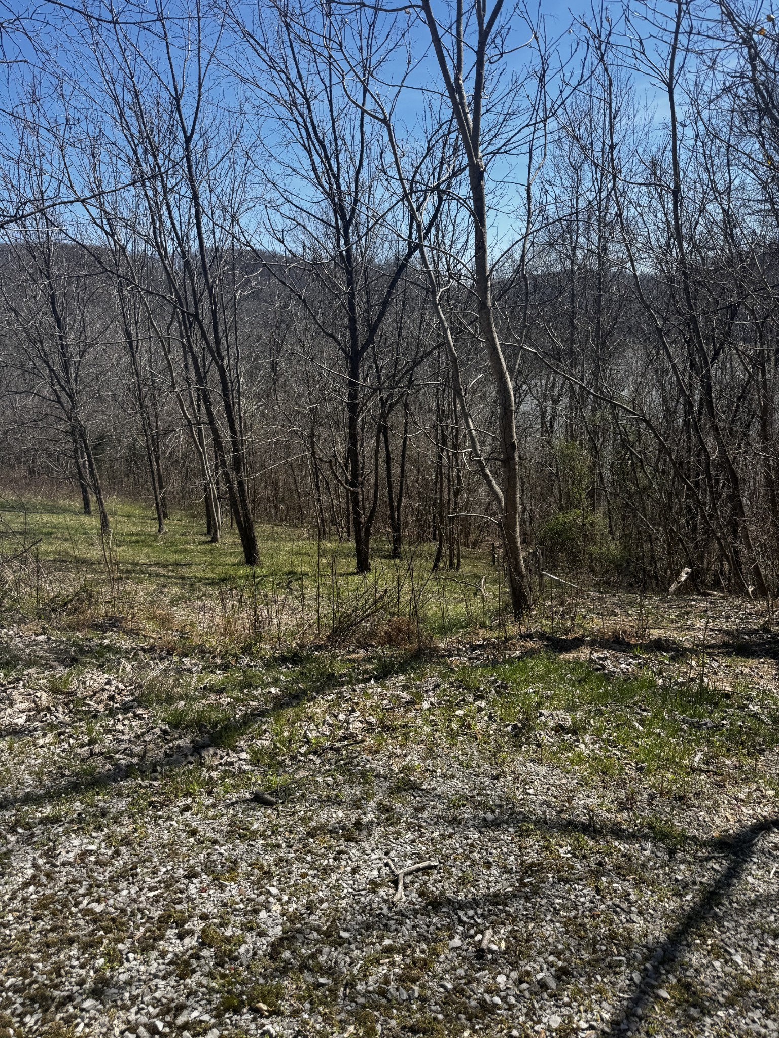 0 Dakota Ln Property Photo 2