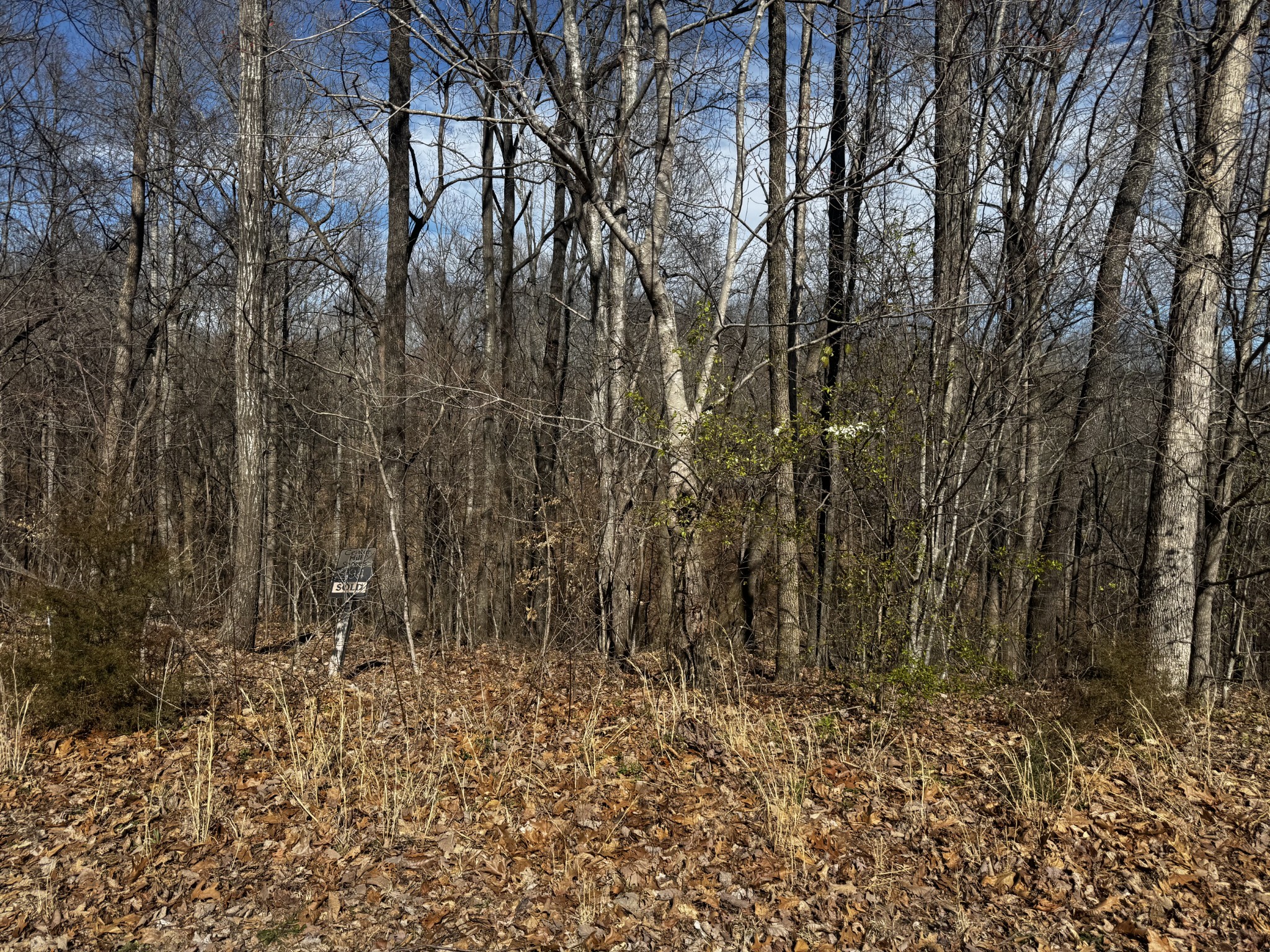 0 Dakota Ln Property Photo 3