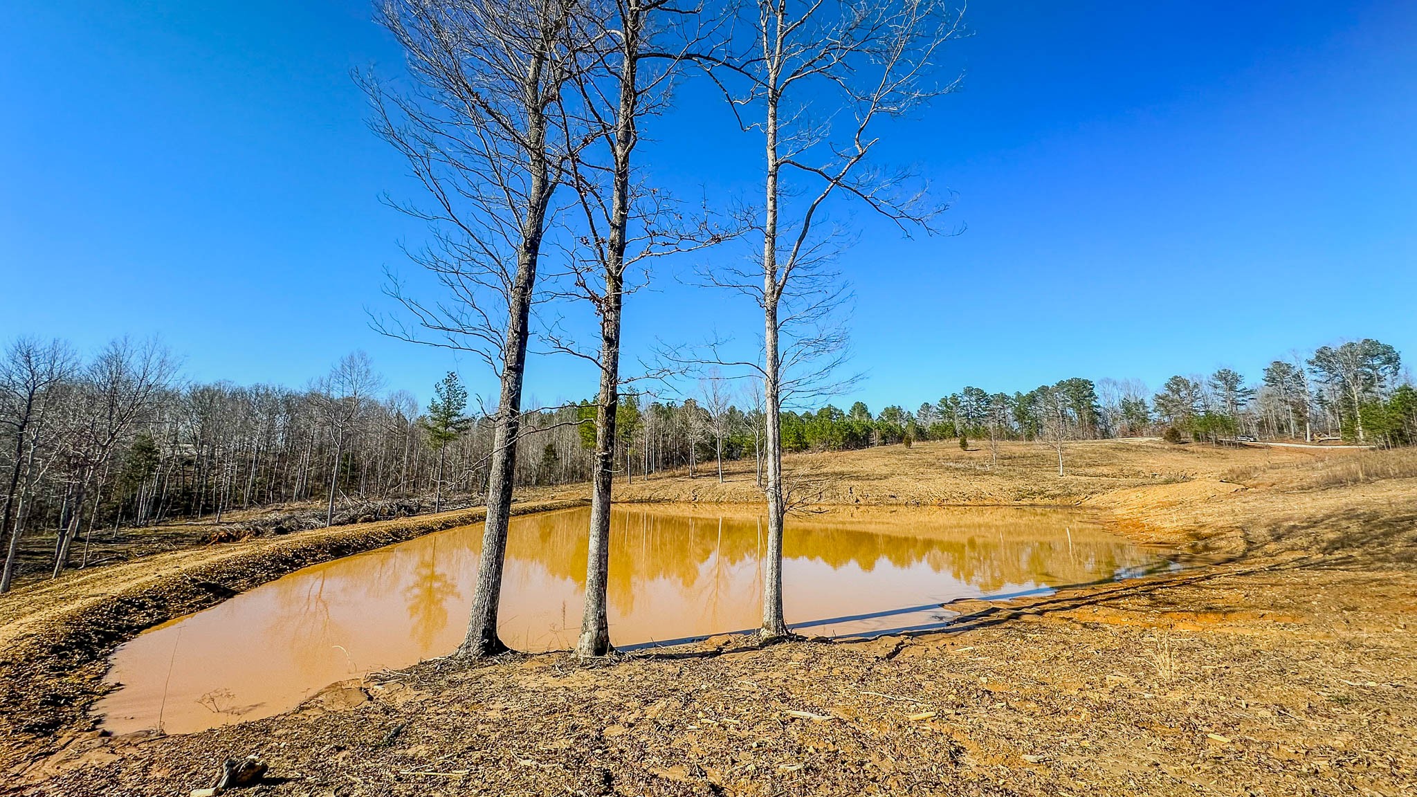 0 Jeanette Holladay Rd Property Photo