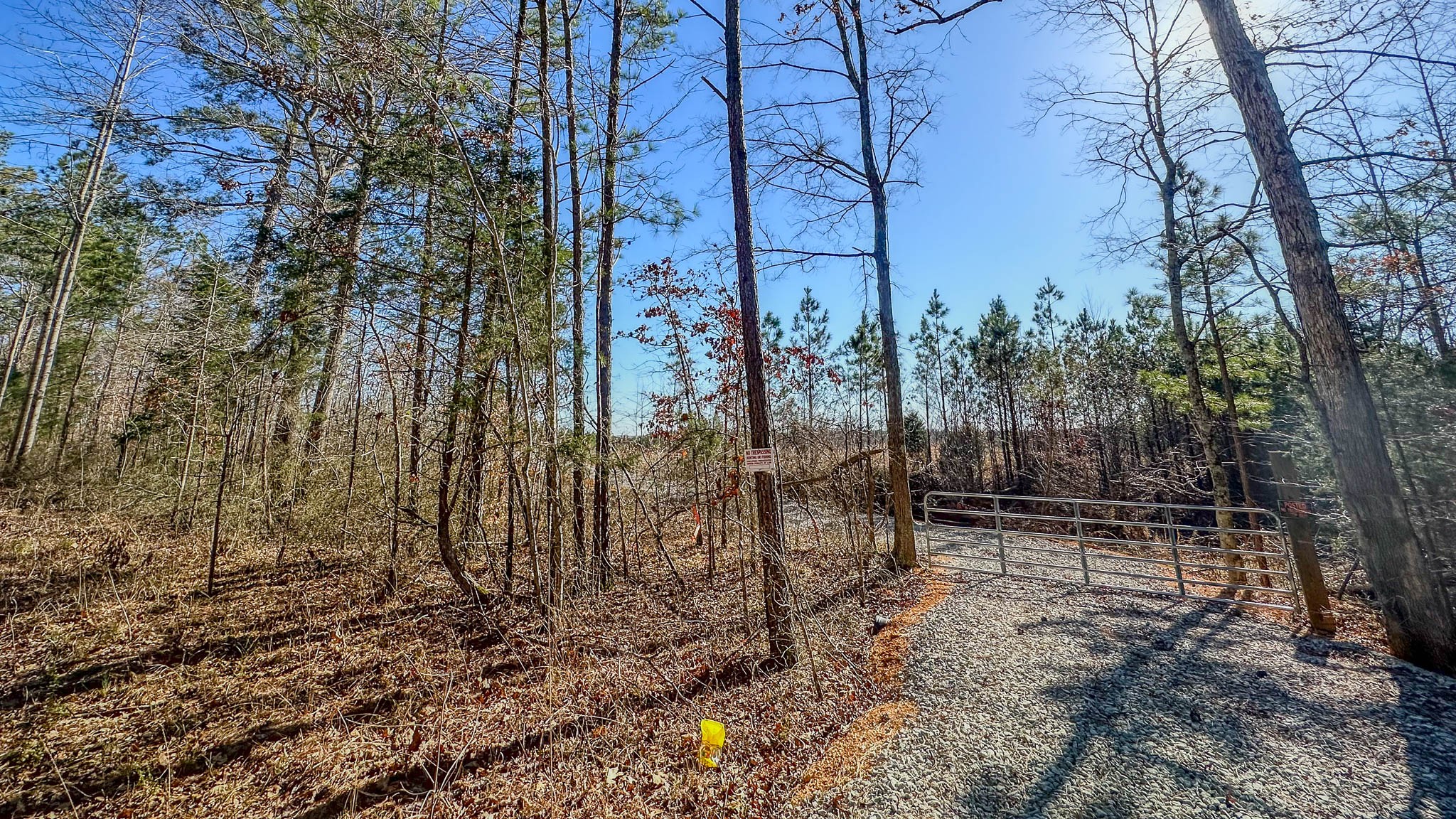 0 Jeanette Holladay Rd Property Photo 21