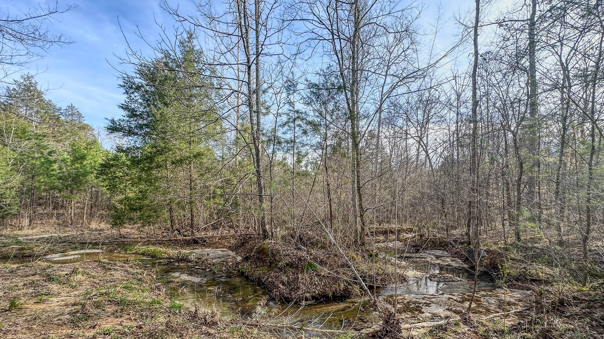 0 Jeanette Holladay Rd Property Photo 2