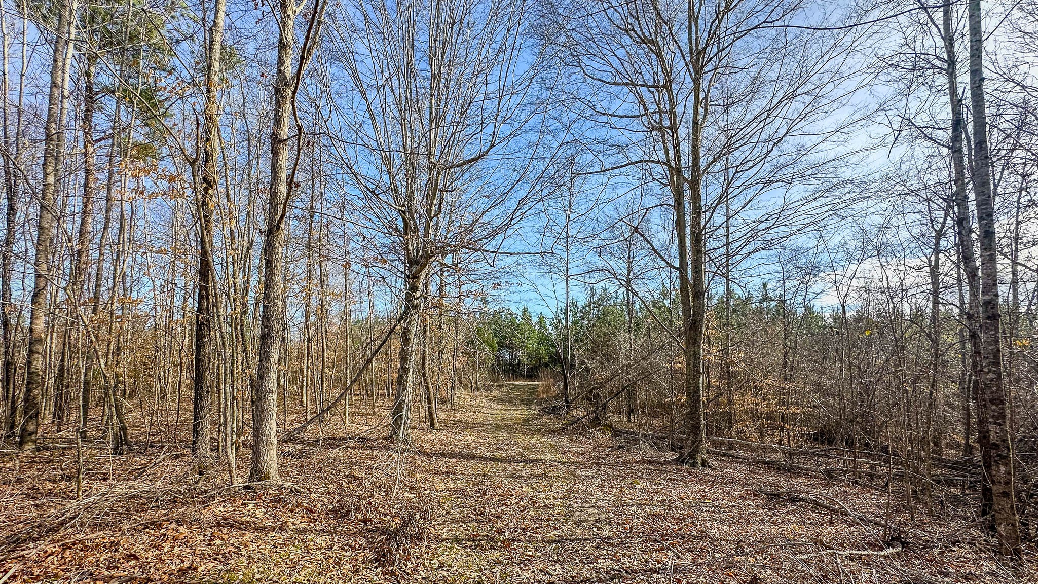 0 Jeanette Holladay Rd Property Photo 14