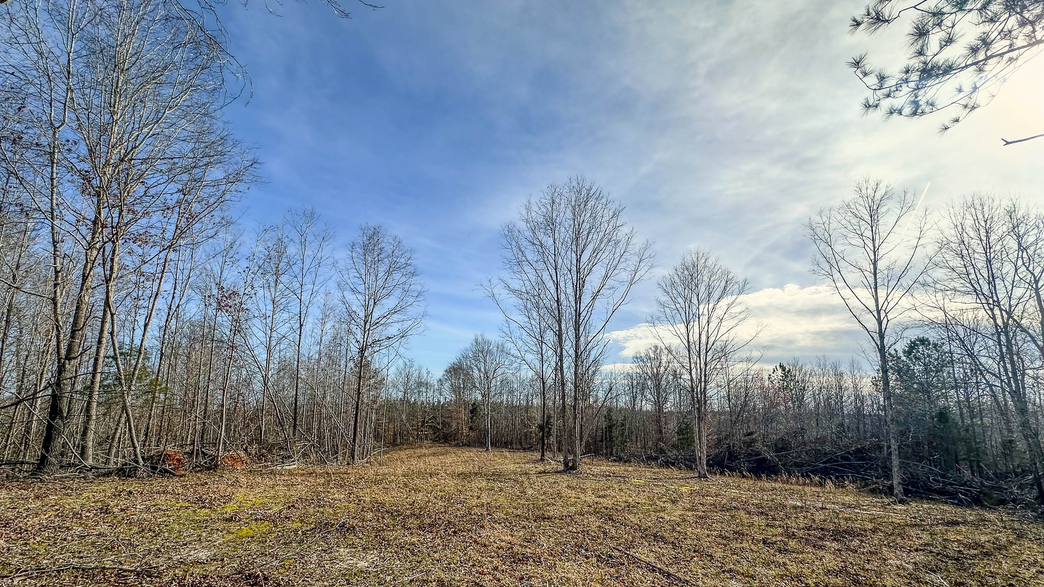 0 Jeanette Holladay Rd Property Photo 15