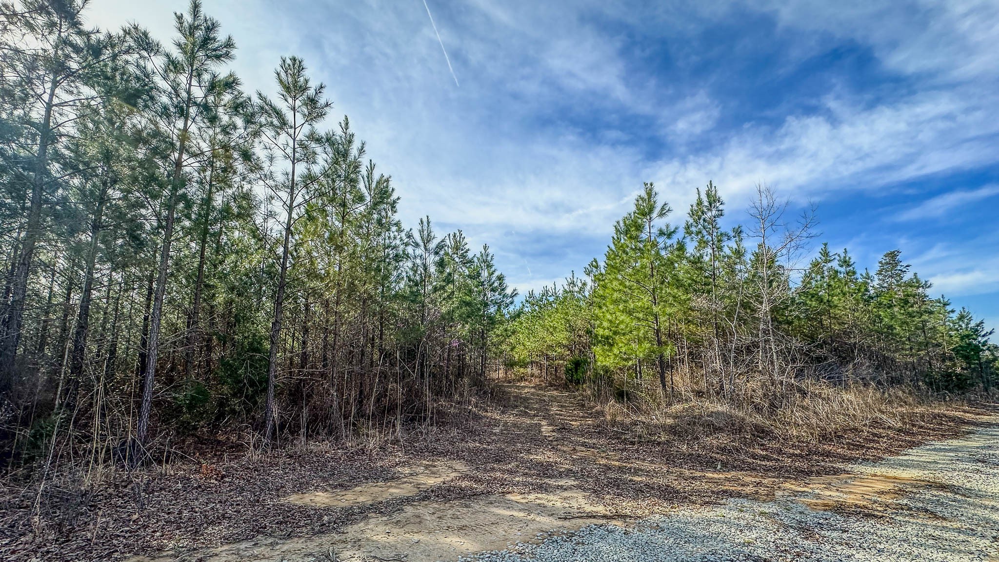 0 Jeanette Holladay Rd Property Photo 18