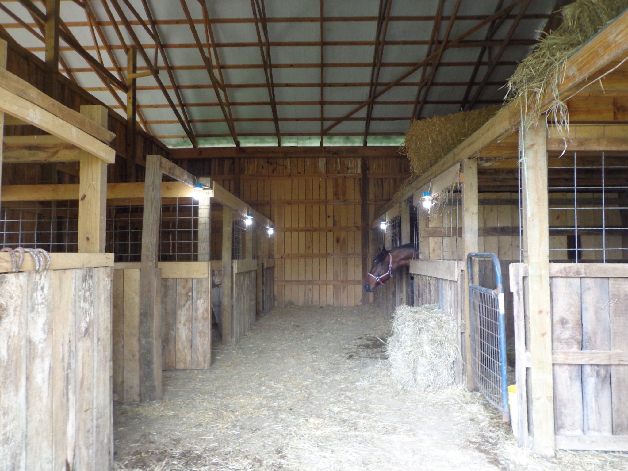 1398 Gilmer Bridge Rd Property Photo 27