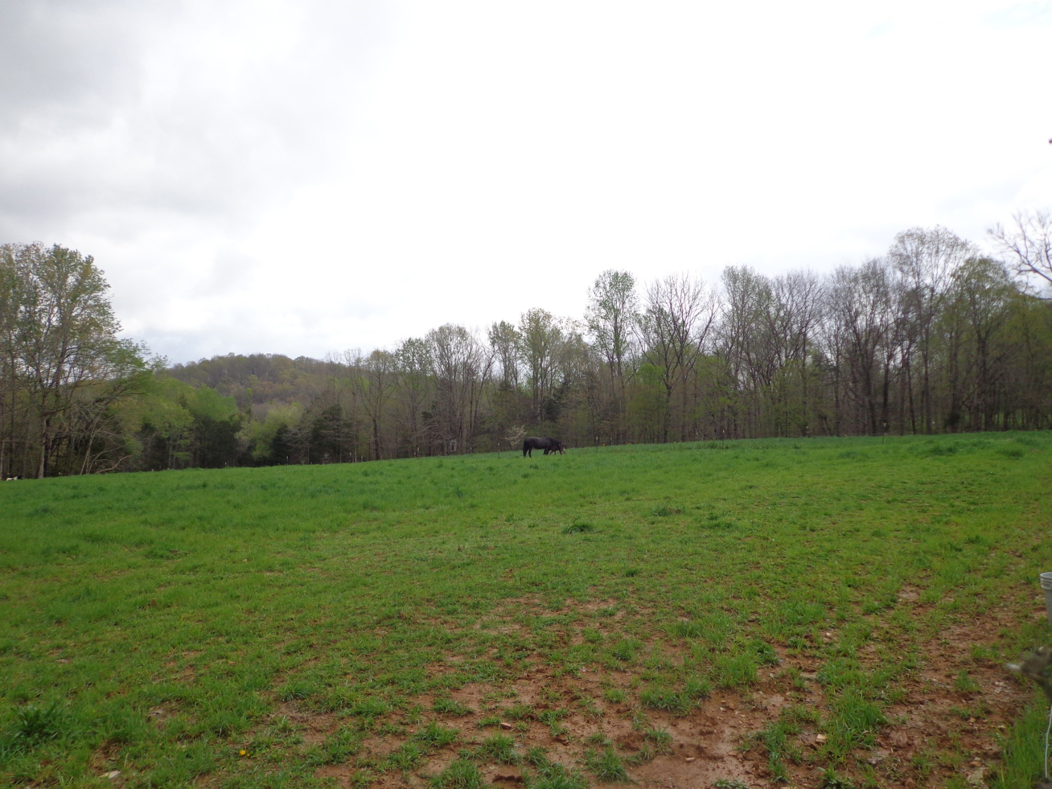 1398 Gilmer Bridge Rd Property Photo 30