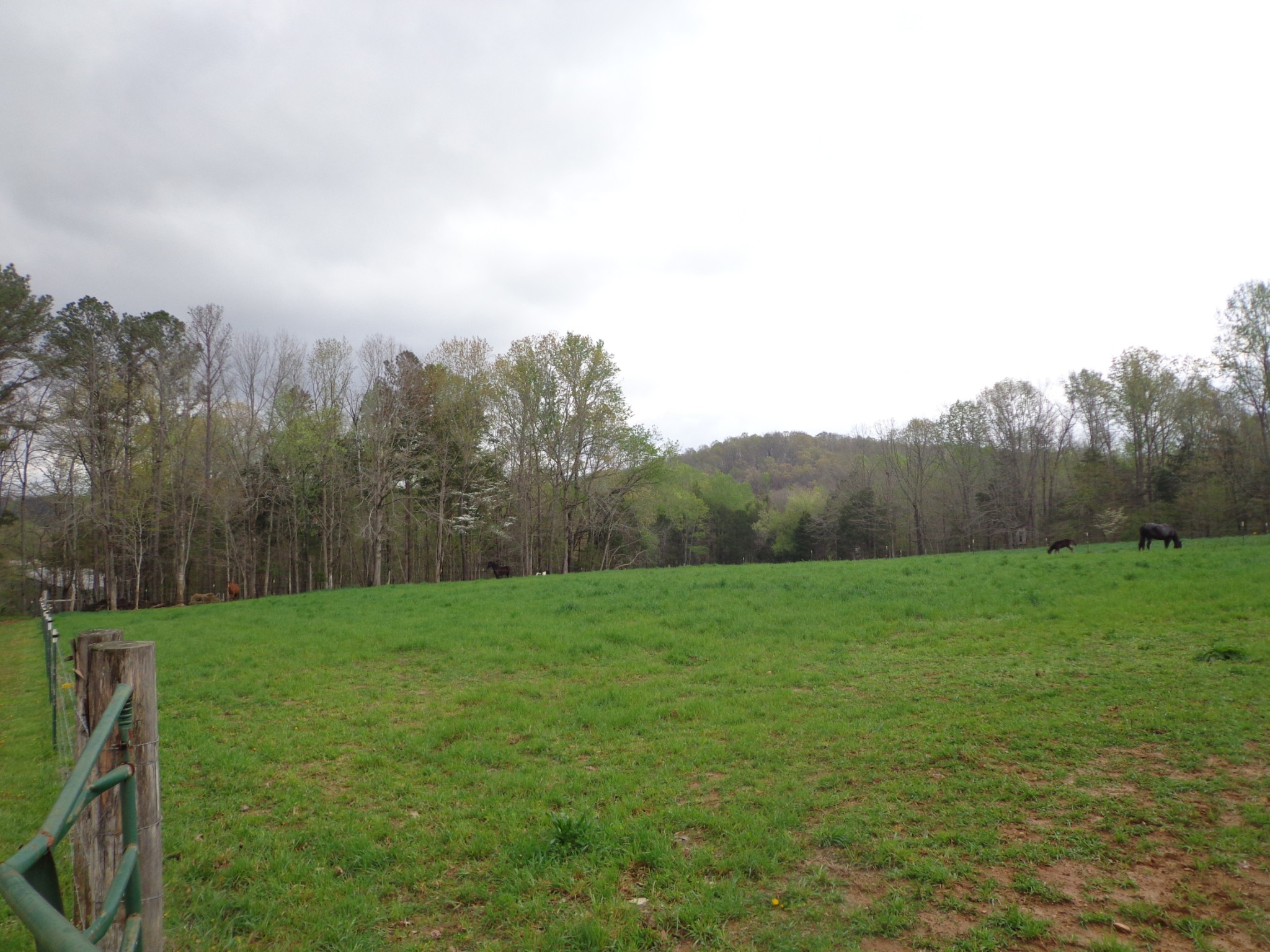 1398 Gilmer Bridge Rd Property Photo 31