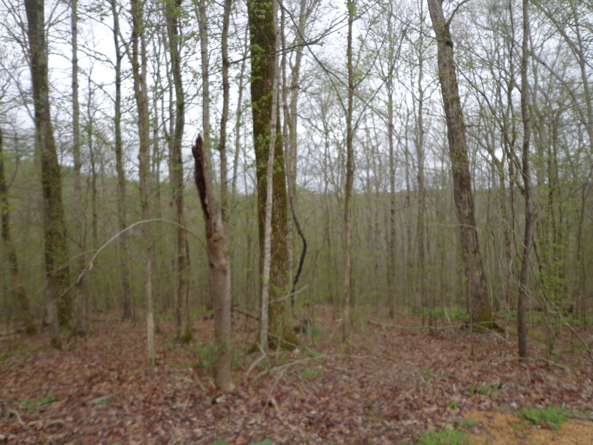 1398 Gilmer Bridge Rd Property Photo 32