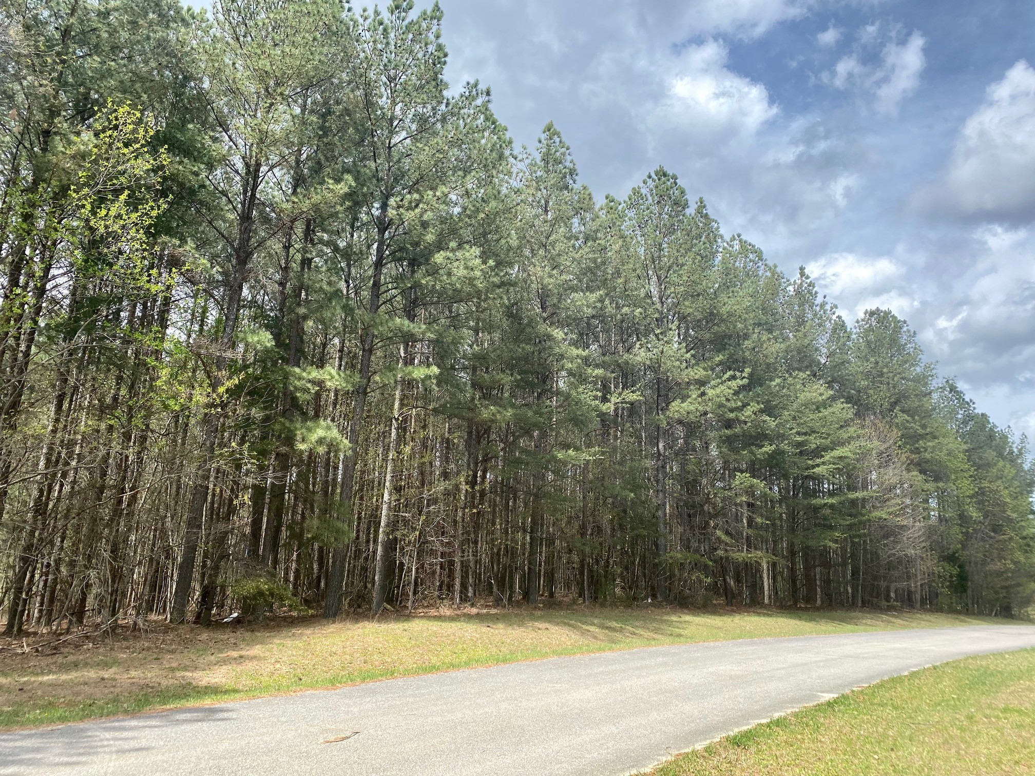 0 Hickory Nut Trl Property Photo