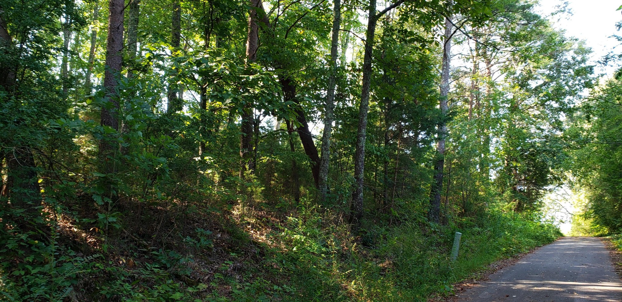 0 Treeline Drive Property Photo 1