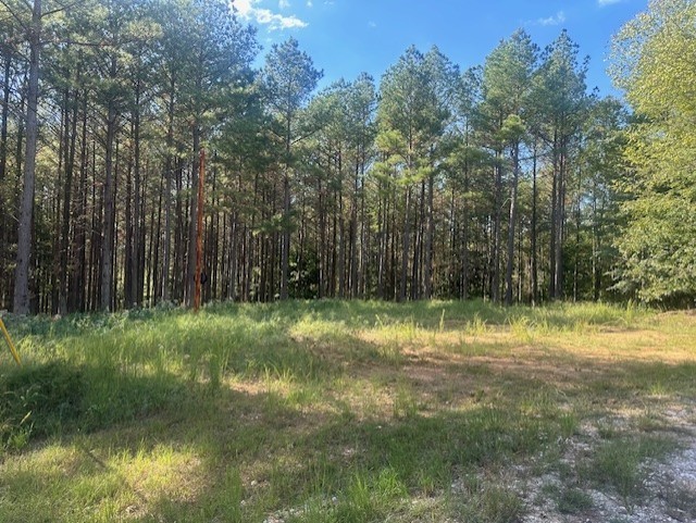 450 Pine Grove Dr Property Photo 1