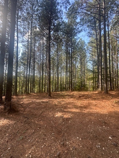 450 Pine Grove Dr Property Photo 3