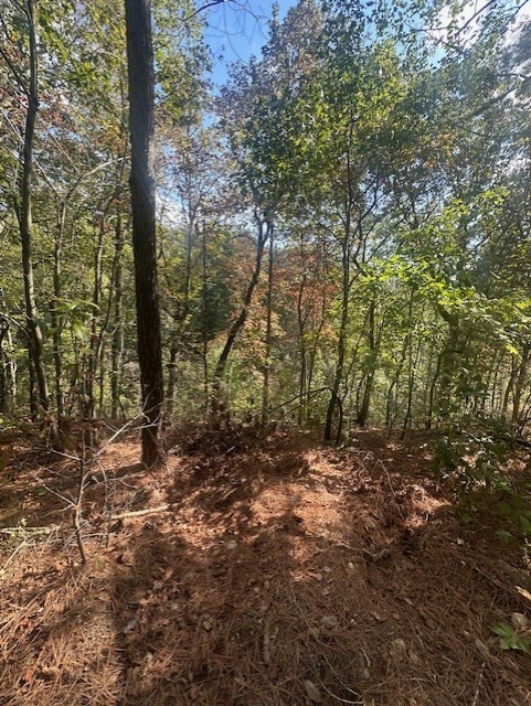 450 Pine Grove Dr Property Photo 6