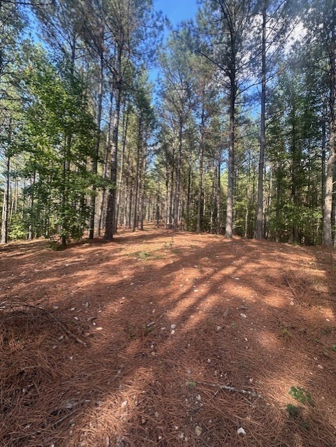 450 Pine Grove Dr Property Photo 7