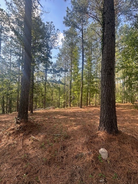 450 Pine Grove Dr Property Photo 8
