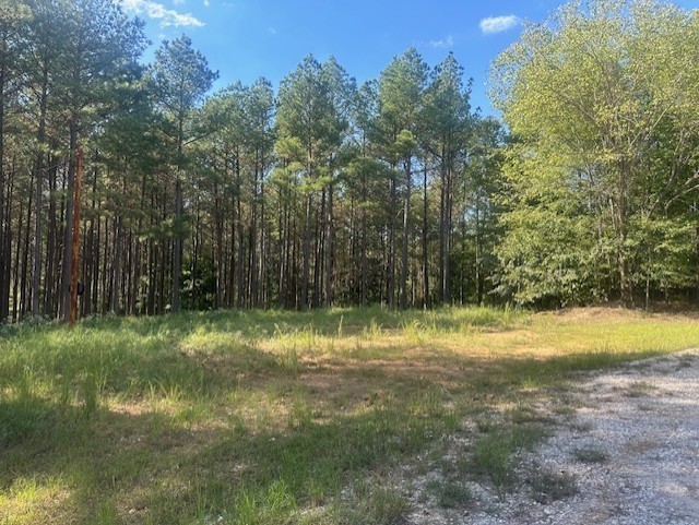 450 Pine Grove Dr Property Photo 9