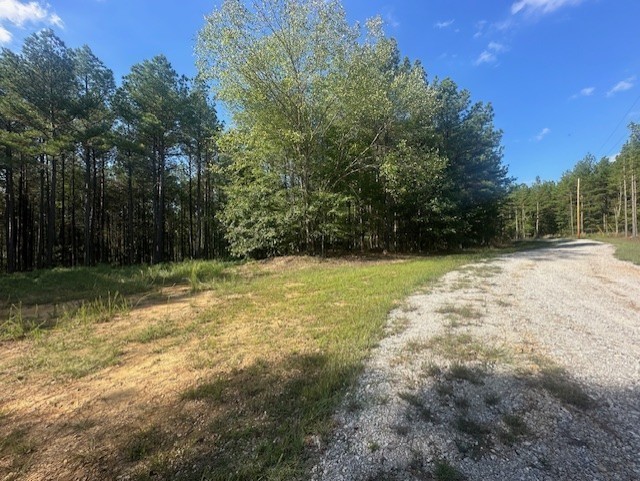450 Pine Grove Dr Property Photo 12