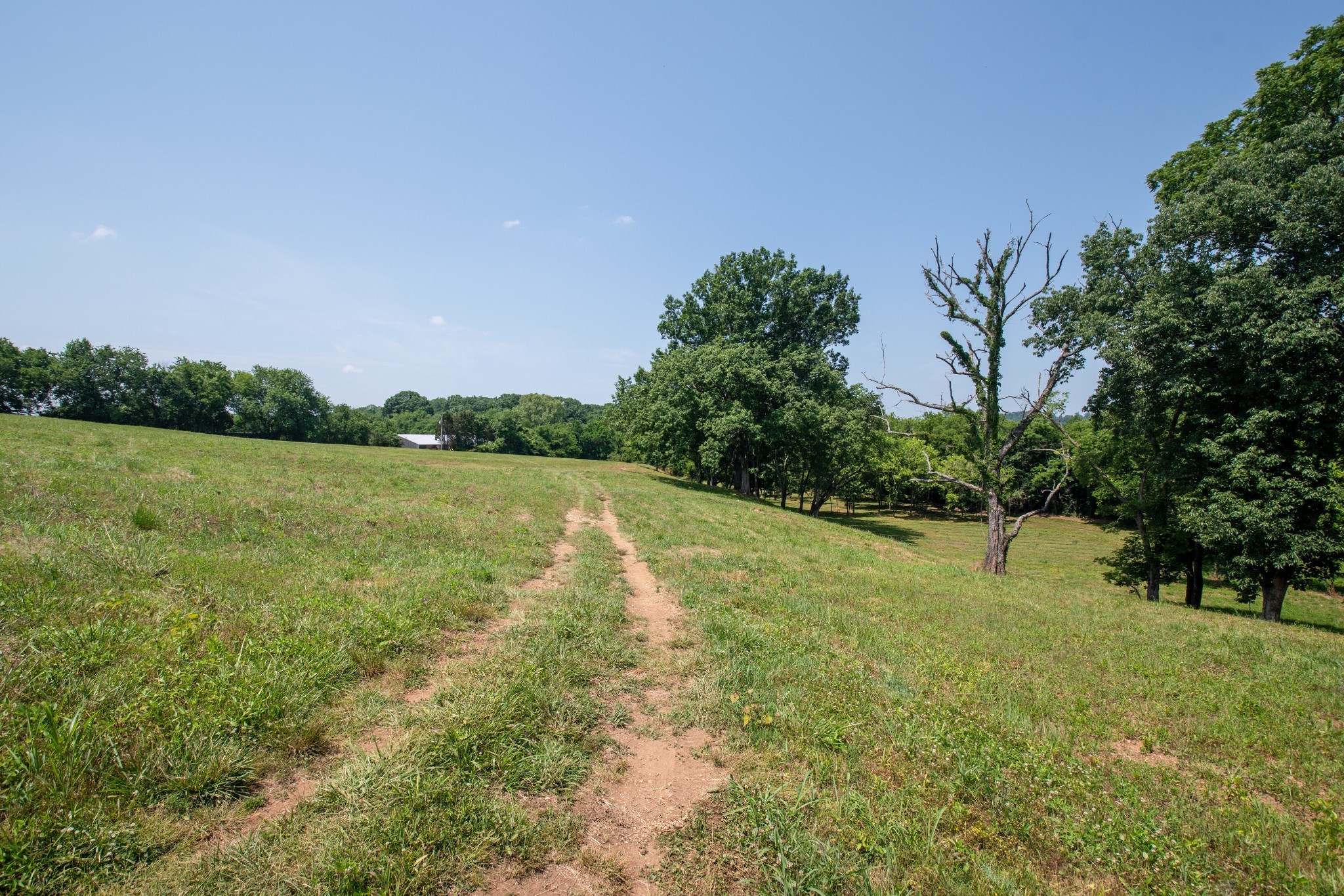 1129 Mcewen Ln Property Photo 20